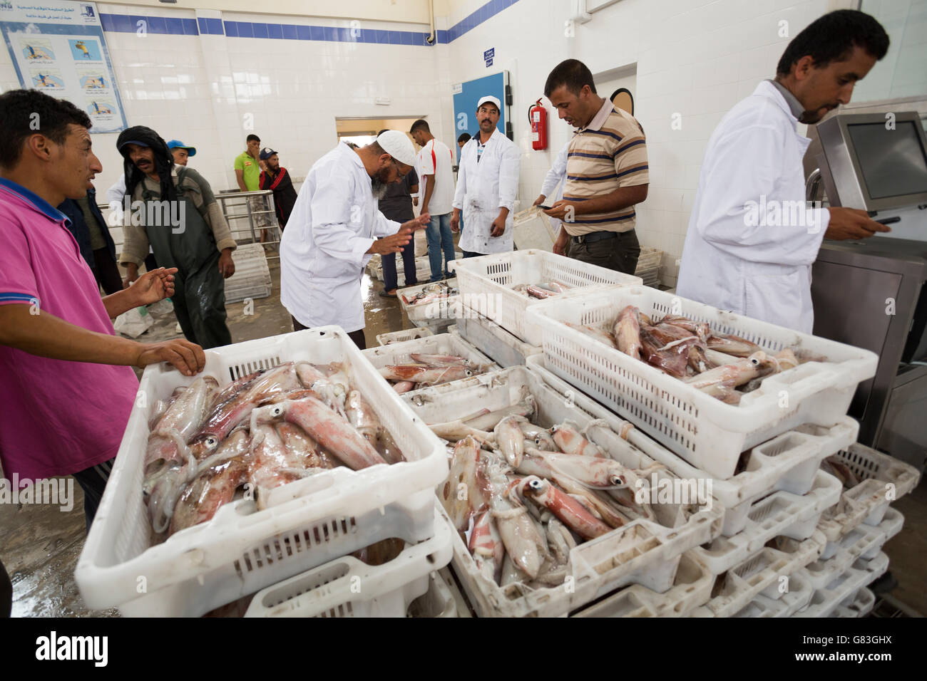 Workers buy and sell fresh seafood and fish at auction in Tifnit, near Agadir, in Morocco Stock