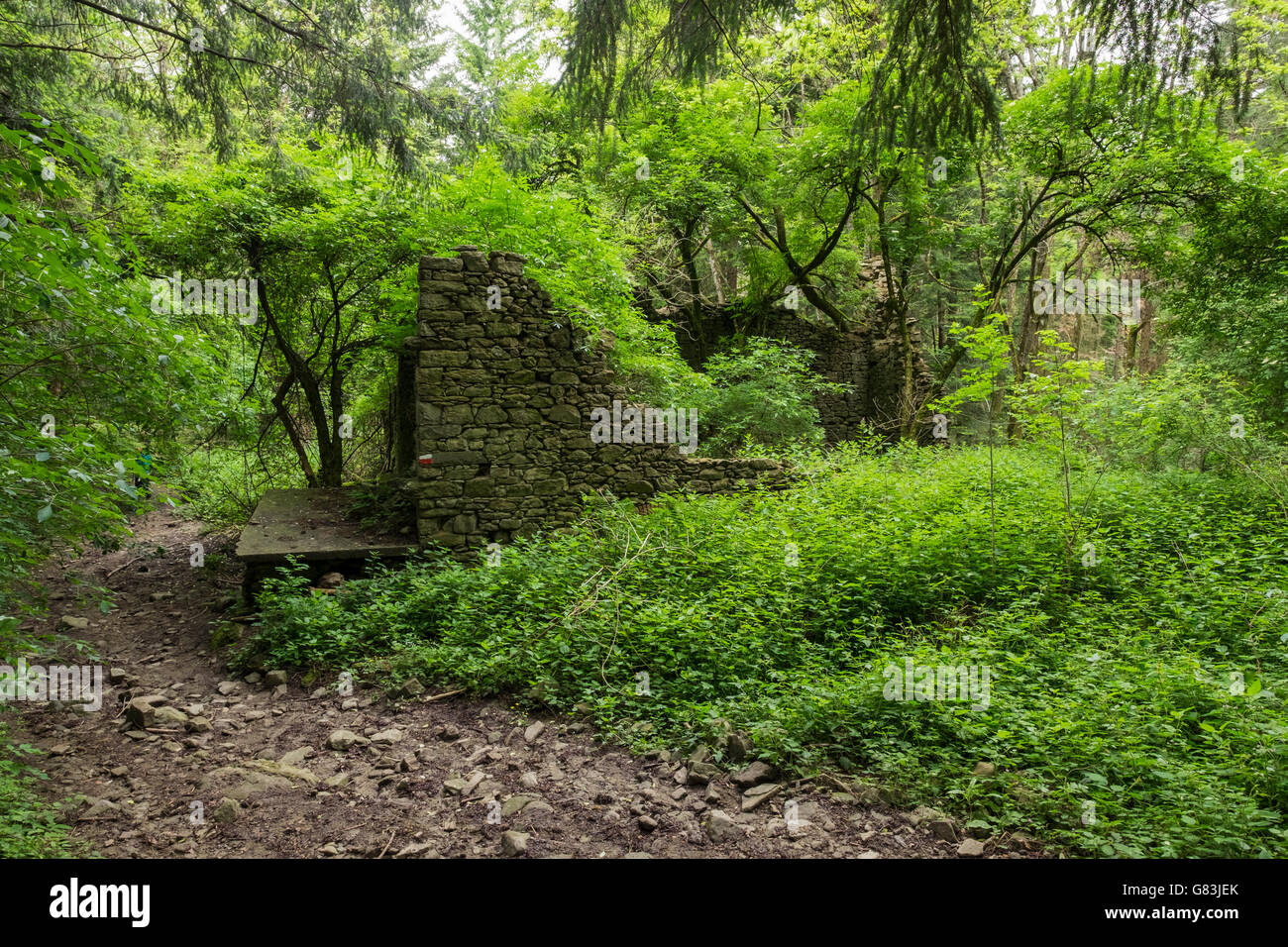Ruin on the forest path on the Via degli Dei near Sant Agata, Tuscany, Italy Stock Photo
