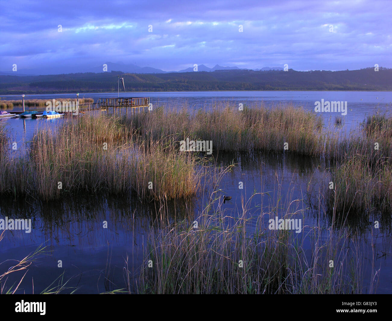Bayswater Sedgefield, South Africa Stock Photo Alamy
