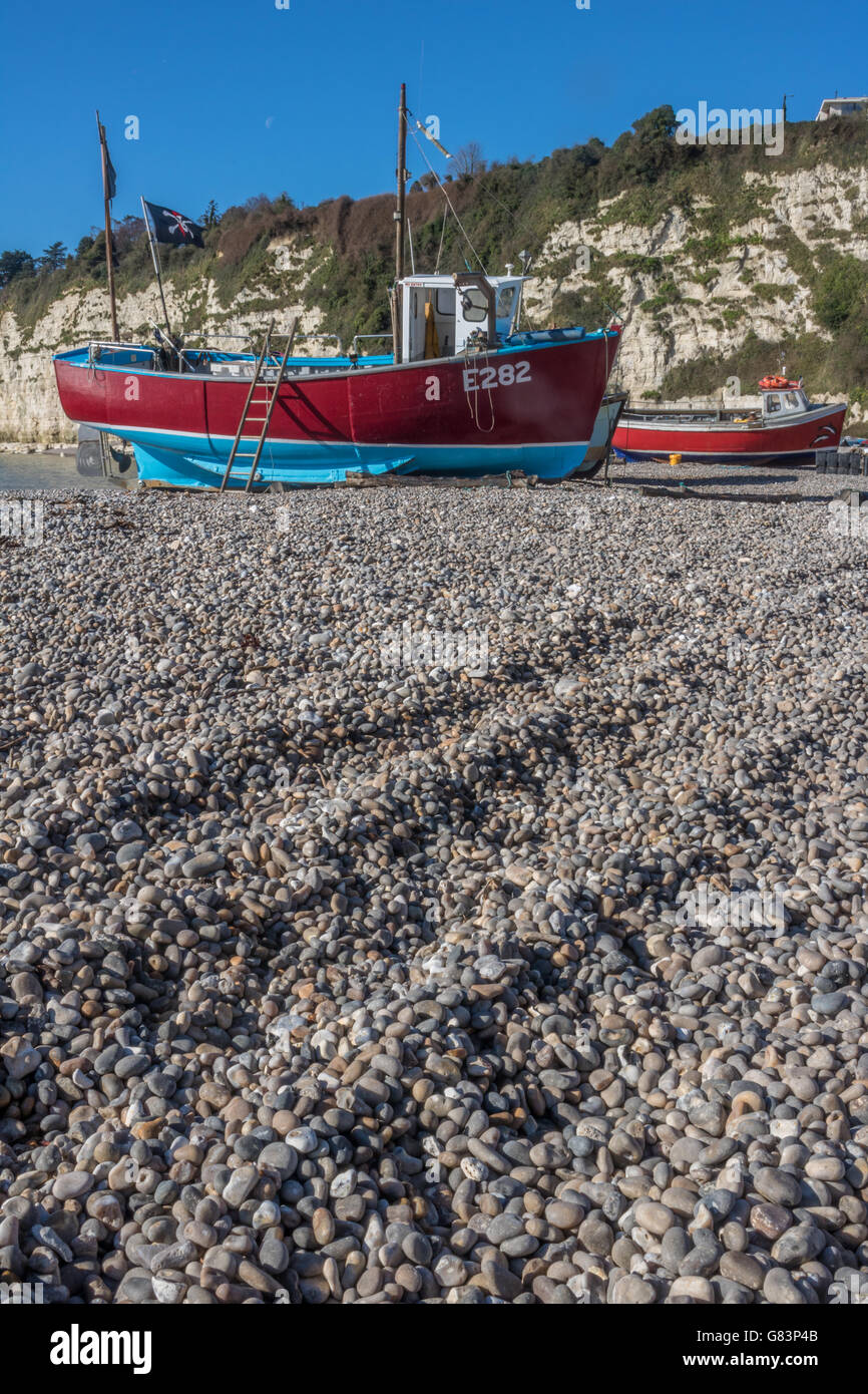 England Devon Beer Fishing boats on the beach Adrian Baker Stock Photo