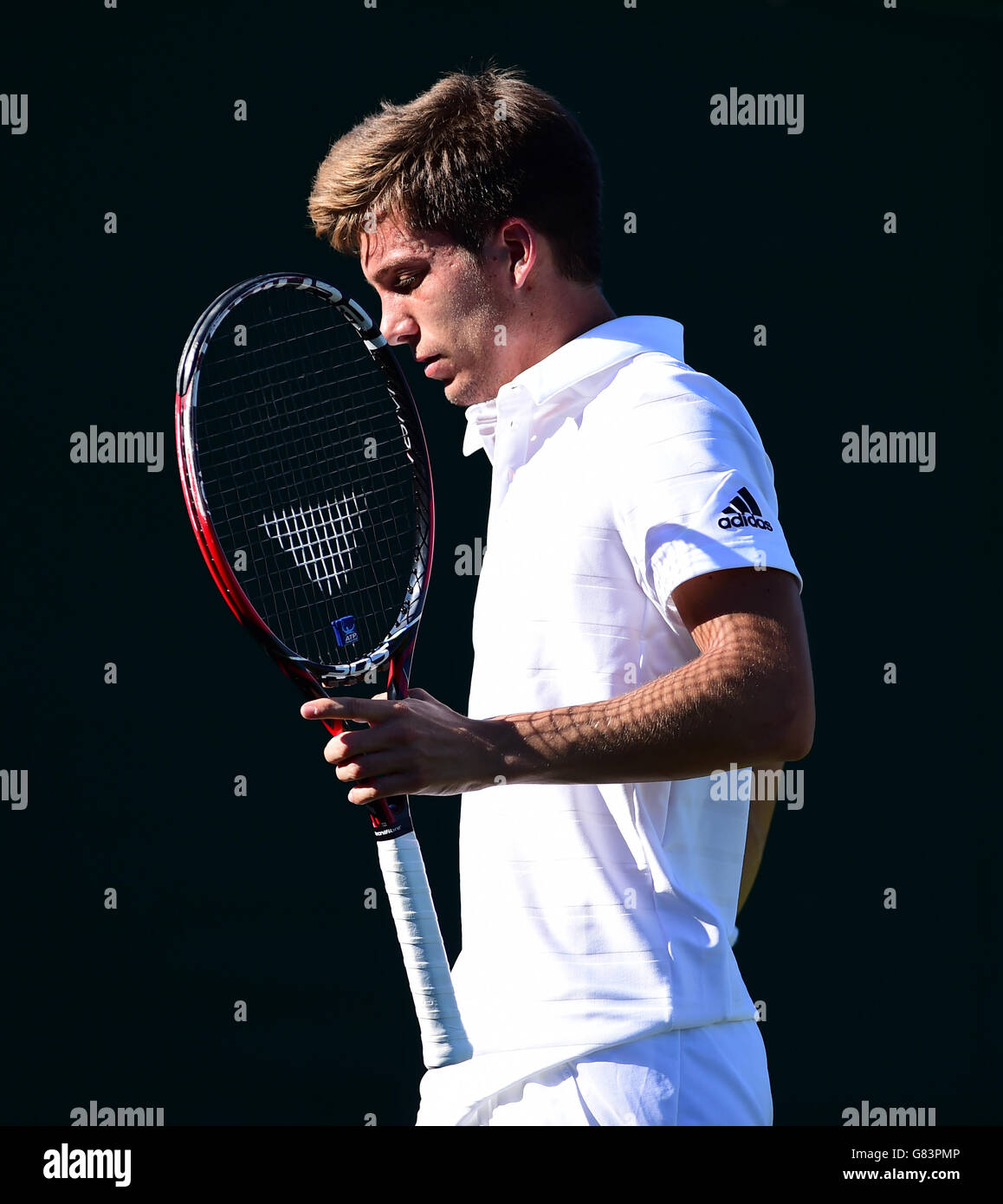 Aljaz Bedene in action against Radek Stepanek during day two of the Wimbledon Championships at the All England Lawn Tennis and Croquet Club, Wimbledon. Stock Photo