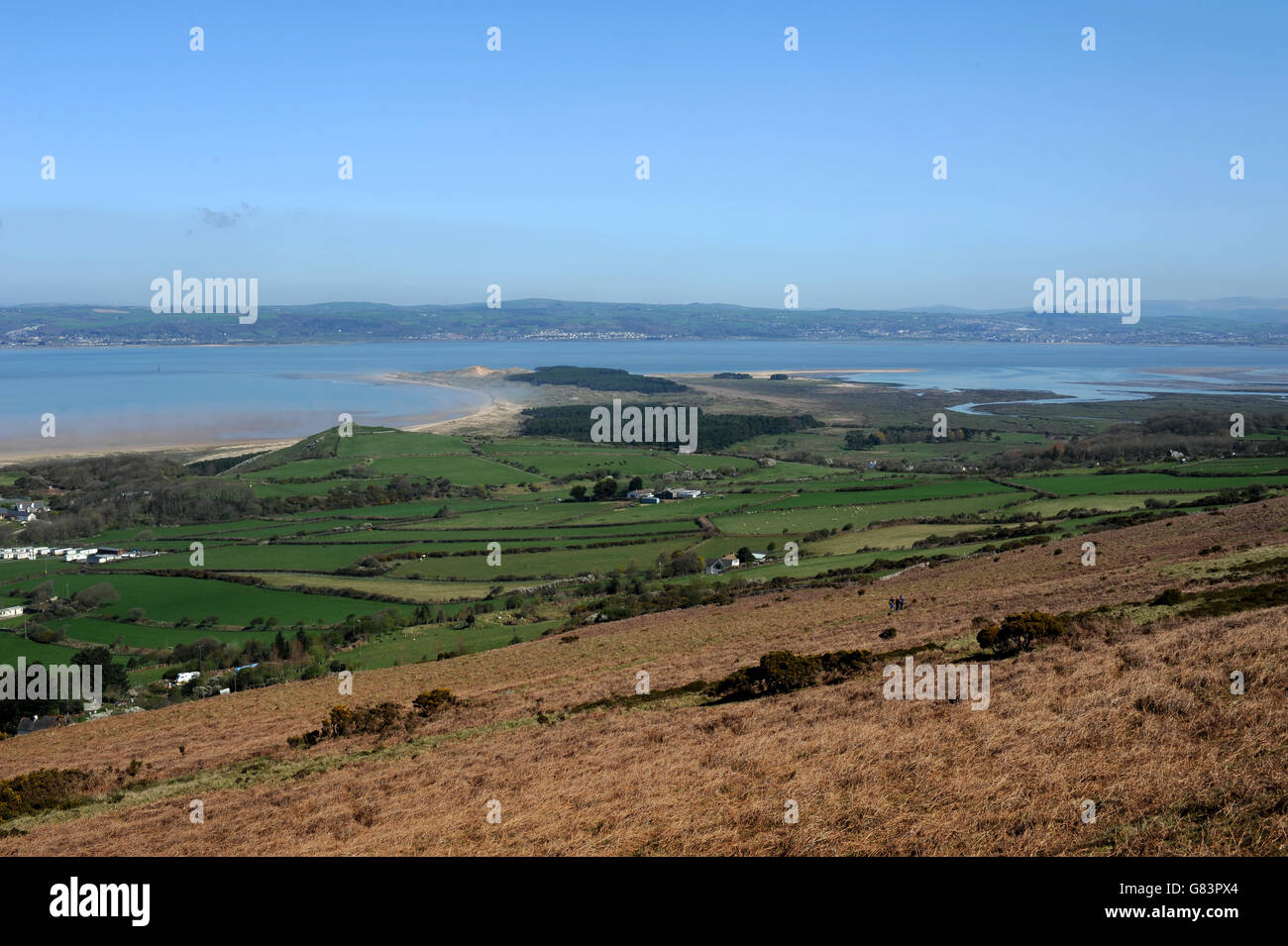 view over Whiteford point  bracken and green fields with the Loughor estuary , woodland and Llanelli on horizon Stock Photo