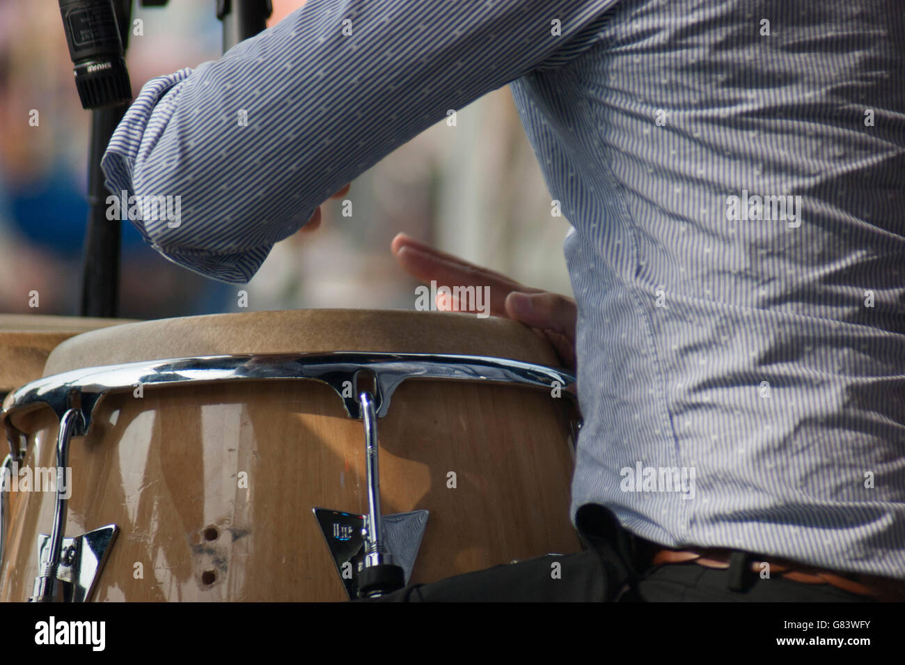 Percussionist playing congo drums for Mitch Frohman & The Bronx Horns, a Mambo Orchestra Stock Photo