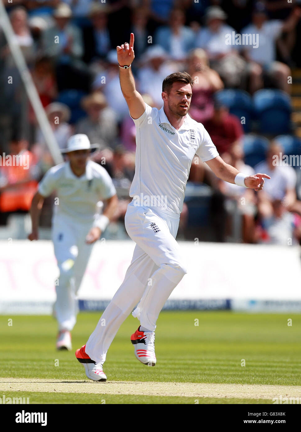 England's Jimmy Anderson celebrates the wicket of Australia's Brad Hadden during the First Investec Ashes Test at the SWALEC Stadium, Cardiff. Stock Photo