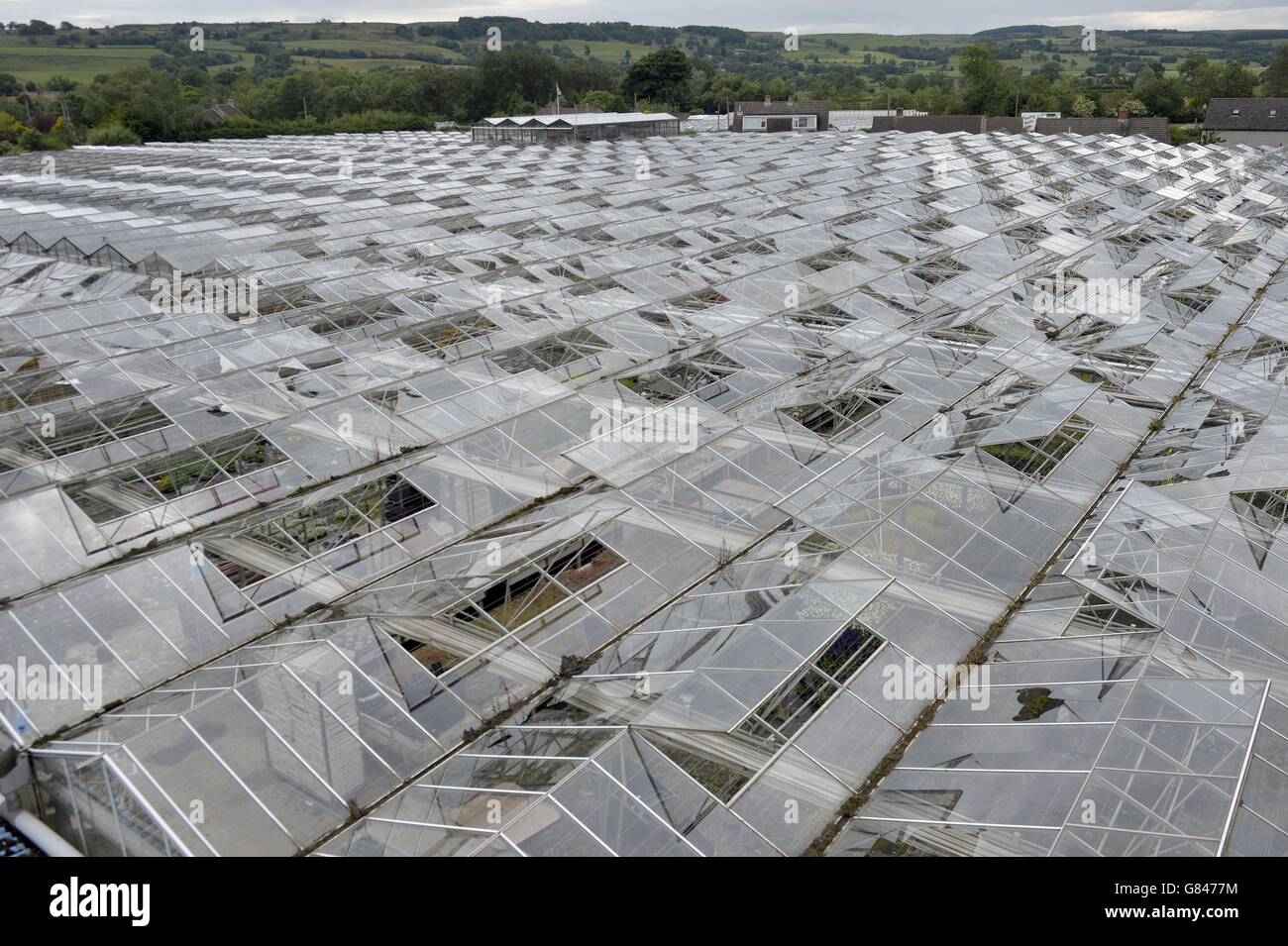 A view of some of the damaged greenhouses at Ravensworth Nurseries in Richmond, North Yorkshire, after giant hailstones smashed up to 5,000 greenhouse panes at the nursery in storms overnight. Stock Photo