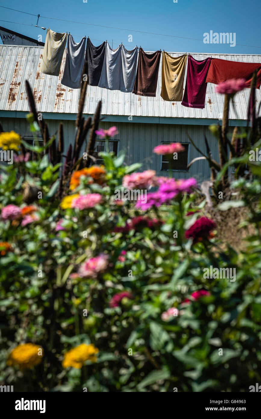 Amish countryside, Lancaster, Pennsylvania Stock Photo Alamy