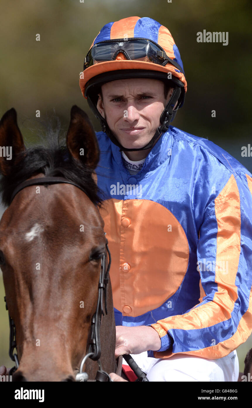 Horse Racing Derby Trial Raceday Lingfield Park Racecourse Stock