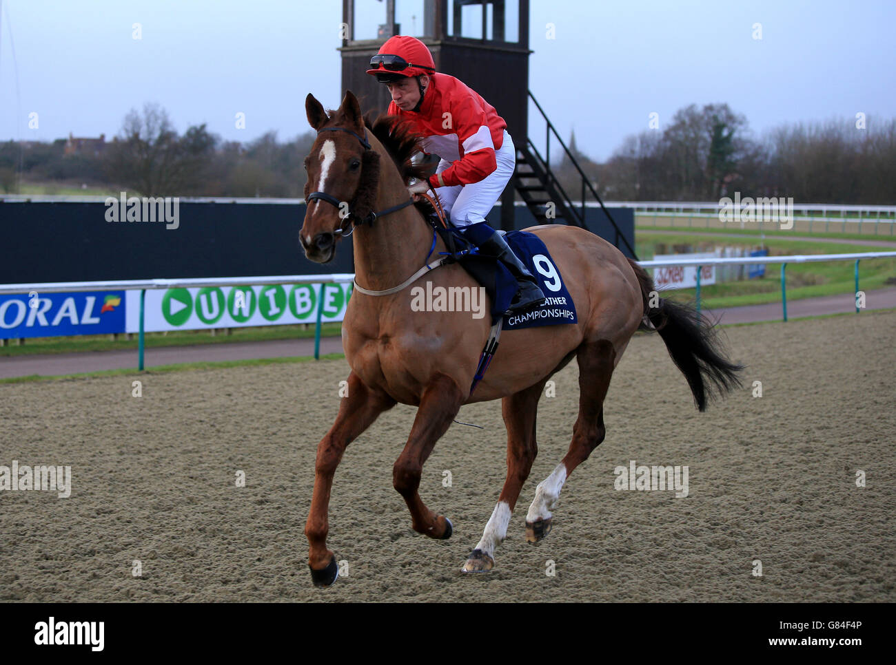Horse Racing Lingfield Park Racecourse Stock Photo Alamy