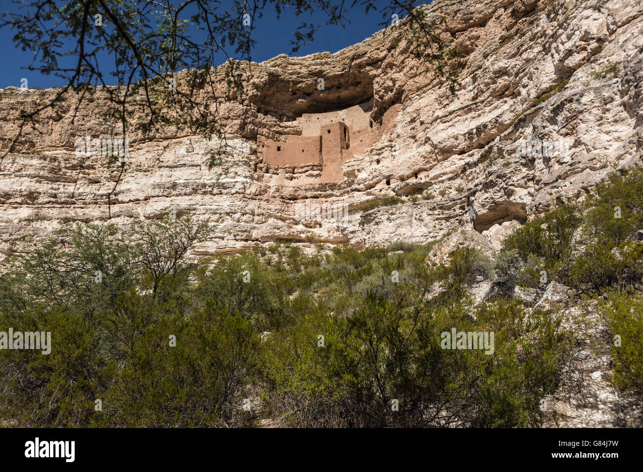 montezuma castle cliff dwelling in limestone cliffs between flagstaff and phoenix AZUS Stock Photo