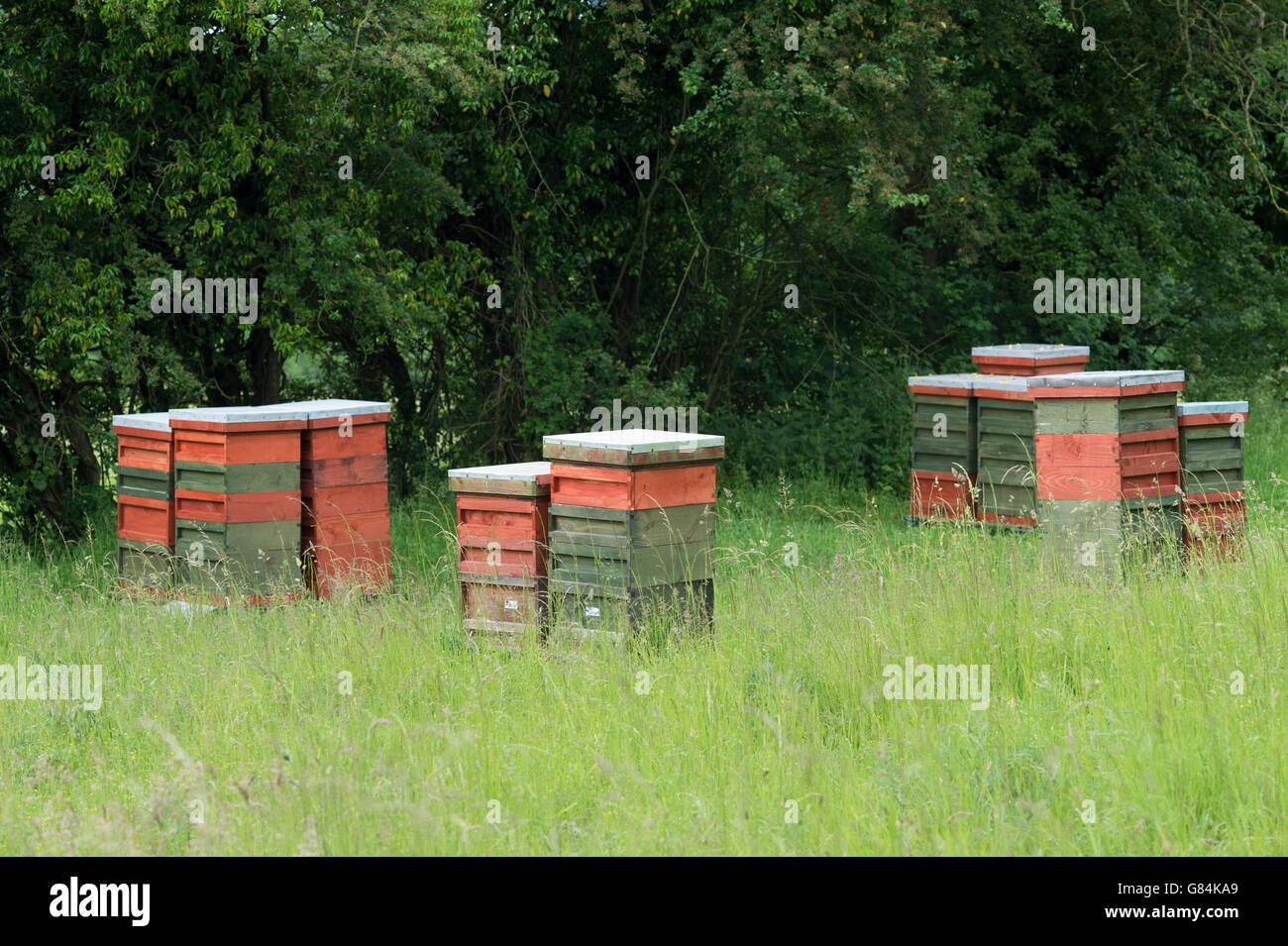 Traditional bee hives uk hi-res stock photography and images - Alamy