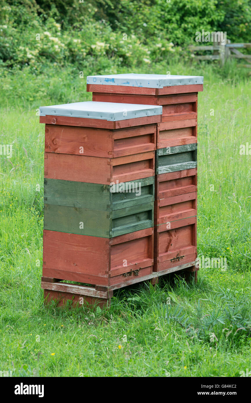 Traditional bee hives uk hi-res stock photography and images - Alamy