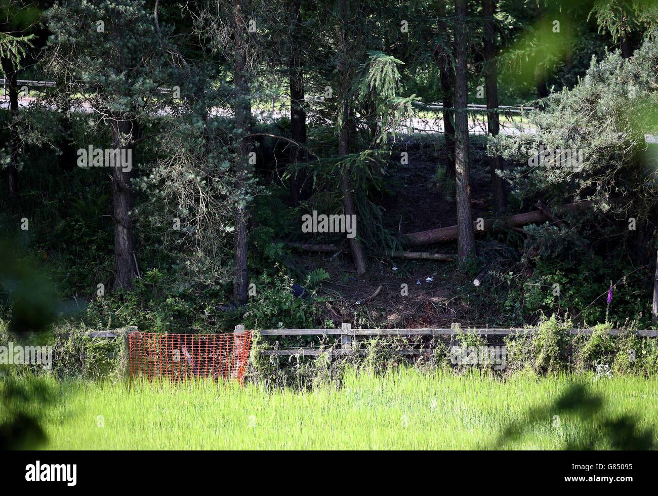 The scene near Junction 9 of the M9 near Stirling where a car left the motorway (seen beyond the trees) and was only discovered three days after police were told that it had crashed. Stock Photo