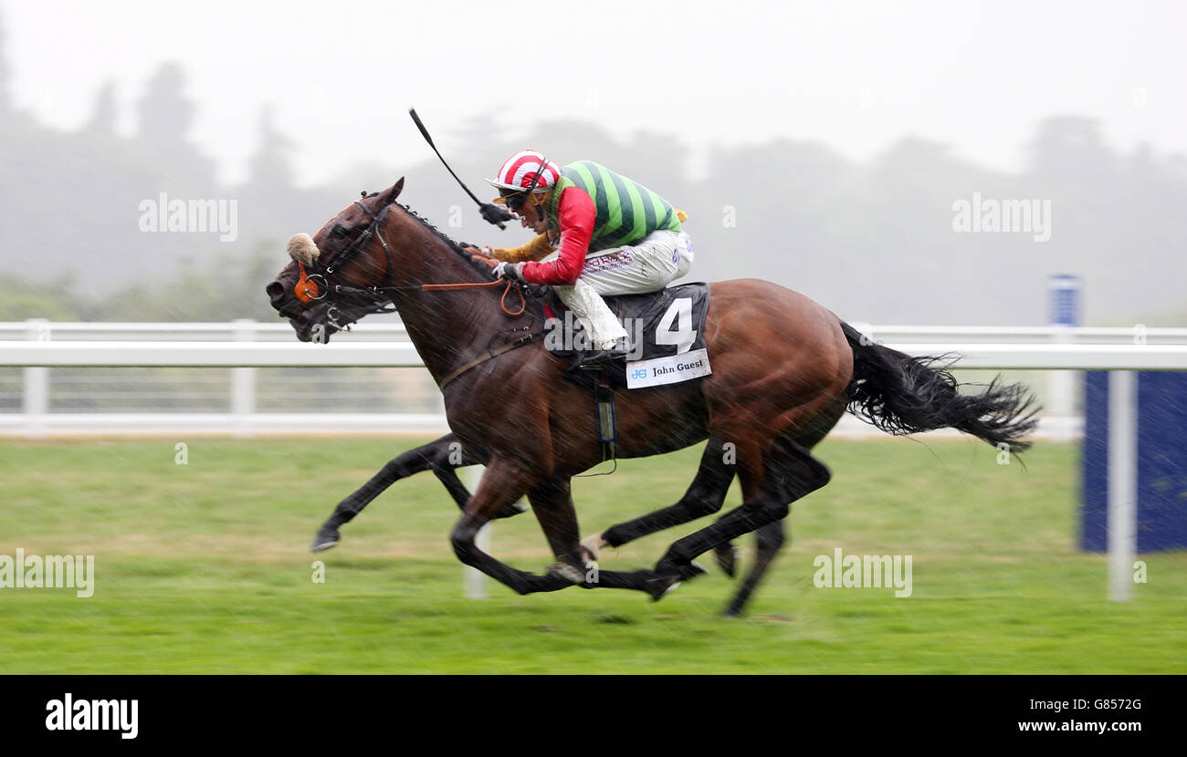 Horse Racing - King George Weekend - Day One - Ascot Racecourse Stock Photo