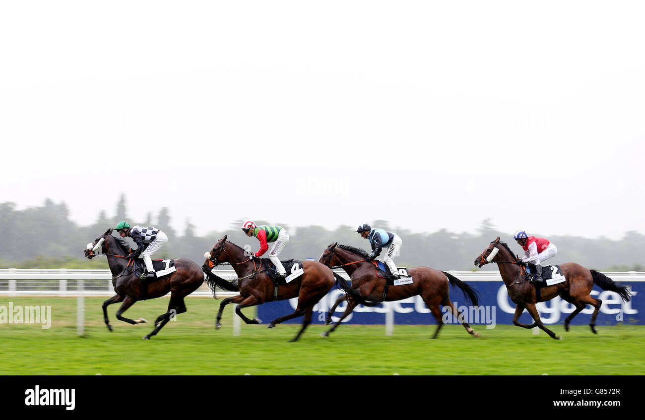 Horse Racing - King George Weekend - Day One - Ascot Racecourse Stock Photo