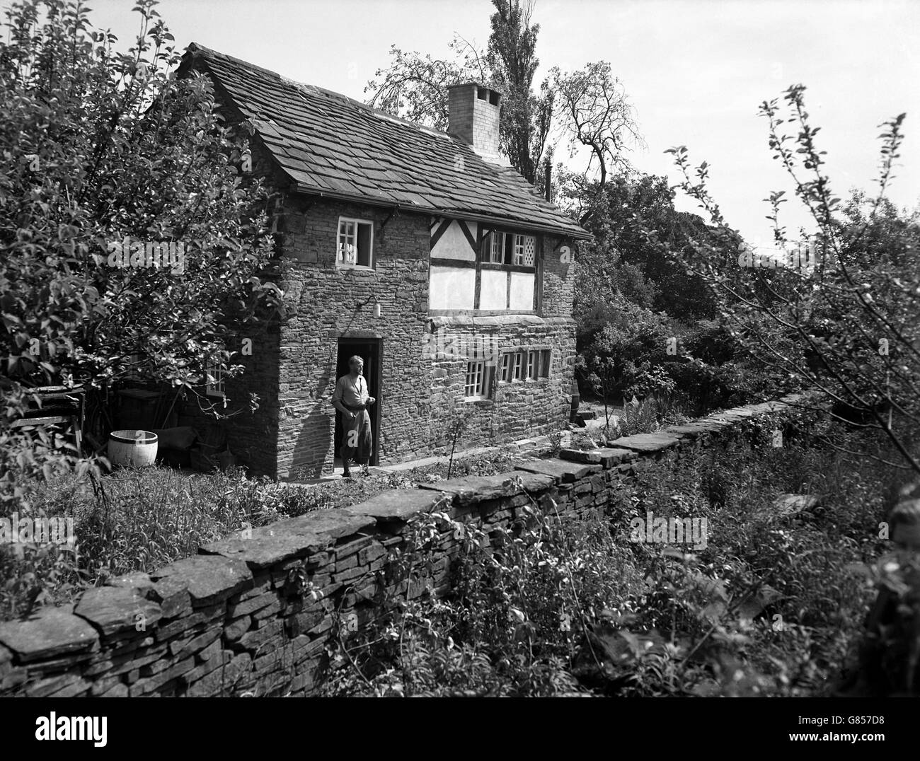 Alan C Browne stands at the door of his farm cottage, which has stood at Appley Bridge near Wigan for over 450 years. Archaeologists say it is one of the earliest and best preserved examples of a Tudor cottage in the county. Stock Photo