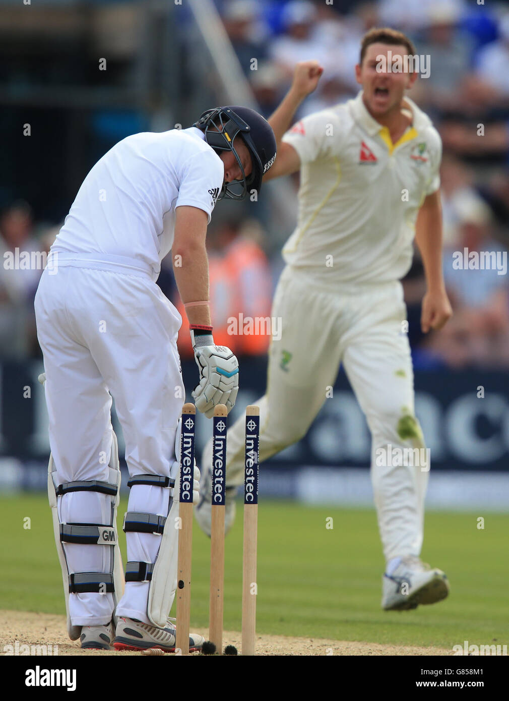 England batsman Joe Root looks back at his stumps as he bowled for 60 by Australia's Josh Hazlewood , during the First Investec Ashes Test at the SWALEC Stadium, Cardiff. Stock Photo