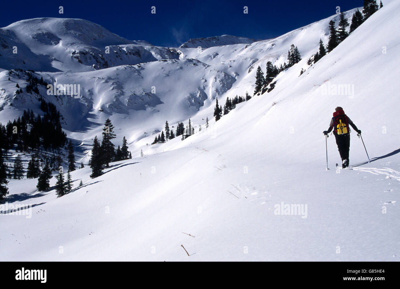 Colorado Usa San Juan National Forest Skiing Near Red Mountain Pass Stock Photo