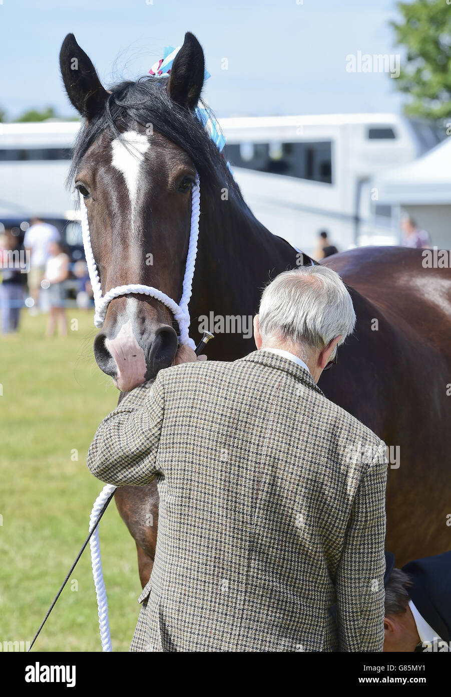 The Essex Heavy Horse & Country show at the Orsett Showground, Essex. PRESS ASSOCIATION Photo. Picture date: Sunday August 2, 2015. Photo credit should read: Ian West/PA Wire Stock Photo