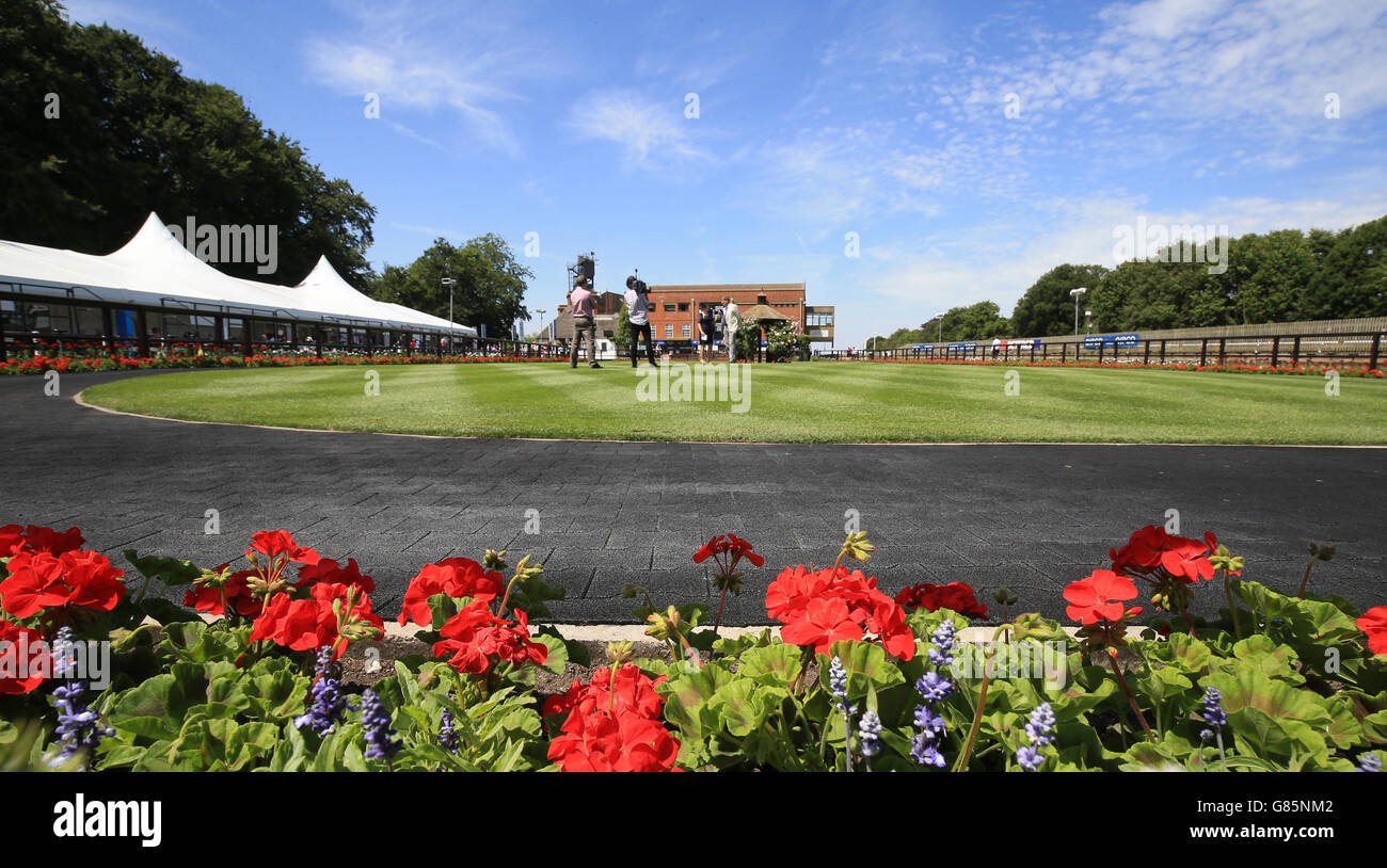 Horse Racing - The July Festival - Day Two - Newmarket Racecourse. The parade ring prior to racing during day two of the July Festival at Newmarket Racecourse. Stock Photo
