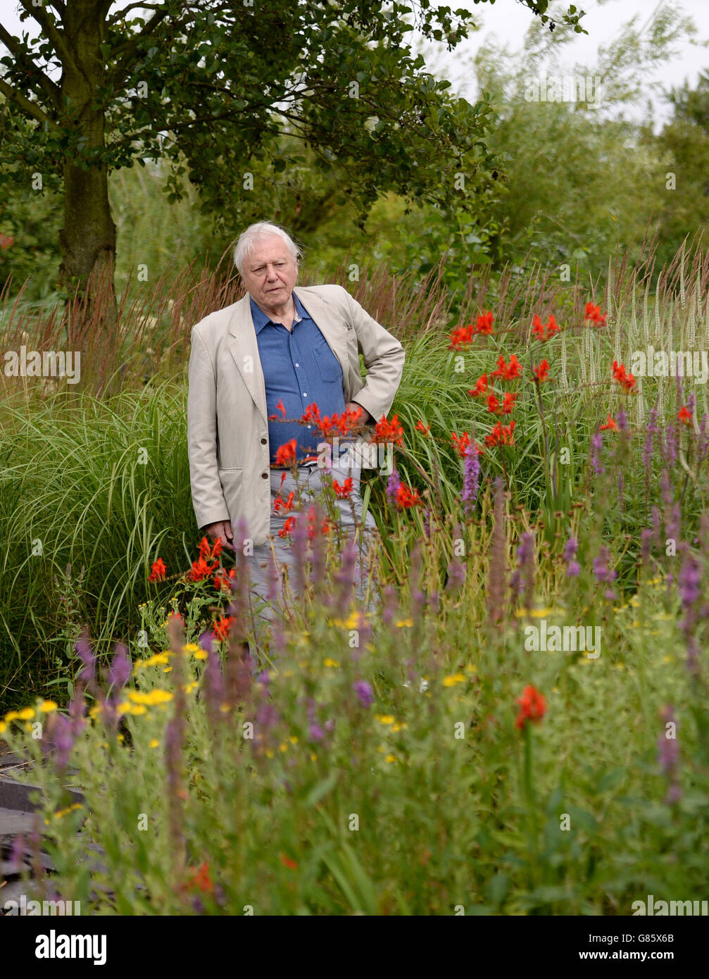Sir David Attenborough visits the London Wetland Centre in west London where he launched his new campaign to raise public awareness to help reverse the butterfly decline, urging the public to plant butterfly-friendly flowers in their garden to help reverse declining numbers of the insects. Stock Photo