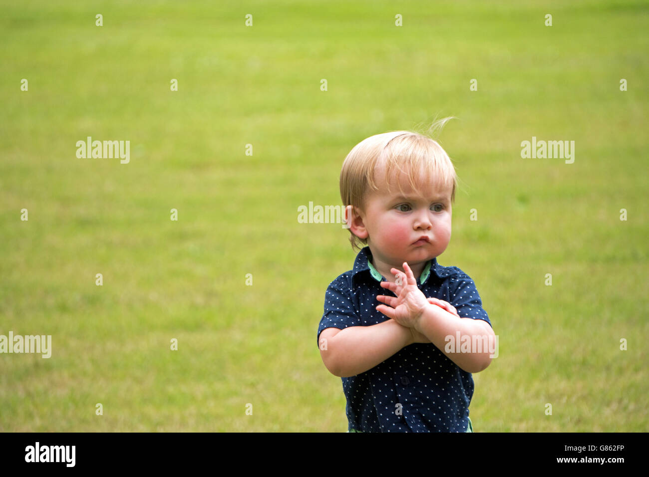 Little boy in a field Stock Photo