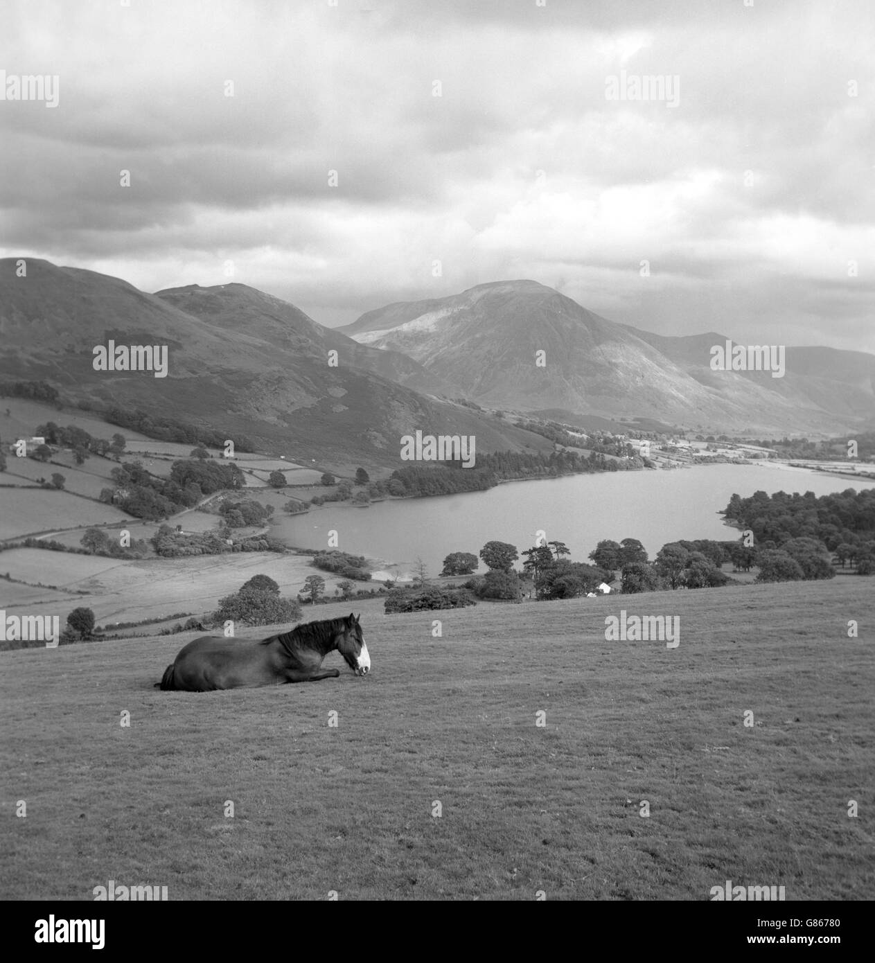 A view from Fangs Brow in the Lake District, looking over Loweswater, which has the greatest elevation of any English lake. The mountain on the right is Grasmoor. Stock Photo
