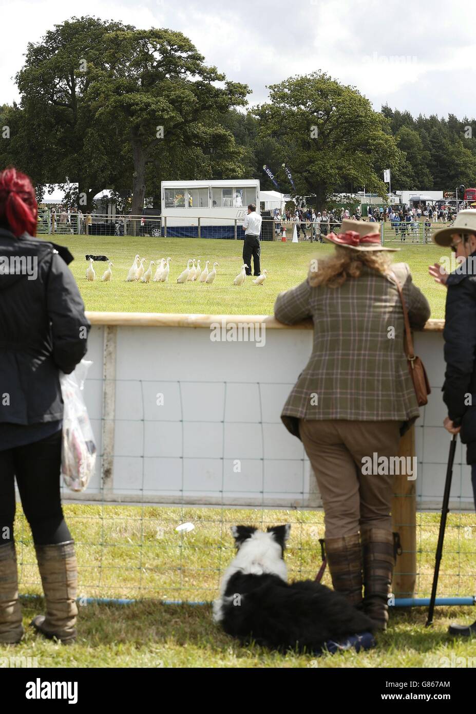 People watch a sheep dog demonstration during the (Country Landowners