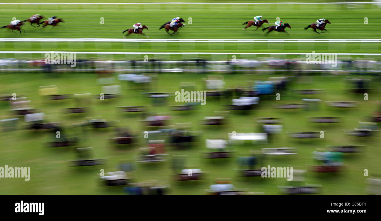 Horse Racing - Newbury Racecourse. Storm Rising ridden by Pat Dobbs on their way to victory in the Don Deadman Memorial EBF Stallions Maiden Stakes at Newbury Racecourse. Stock Photo