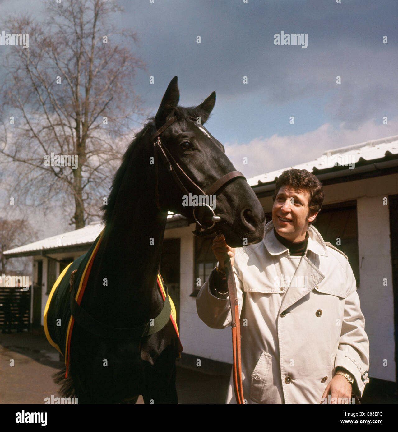 Welsh singer Tom Jones with the racehorse 'Walk On By!' which he has just purchased for an undisclosed sum at Brian Swift's stables at Epsom in Surrey. The racehorse is named after a Burt Bacharach pop song, originally sung by Dionne Warwick. Stock Photo