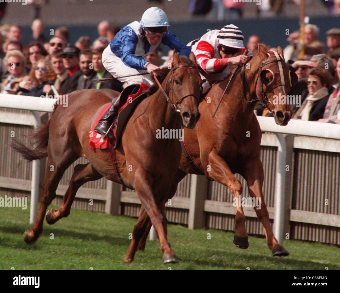 Horse Racing - Newmarket Races Stock Photo