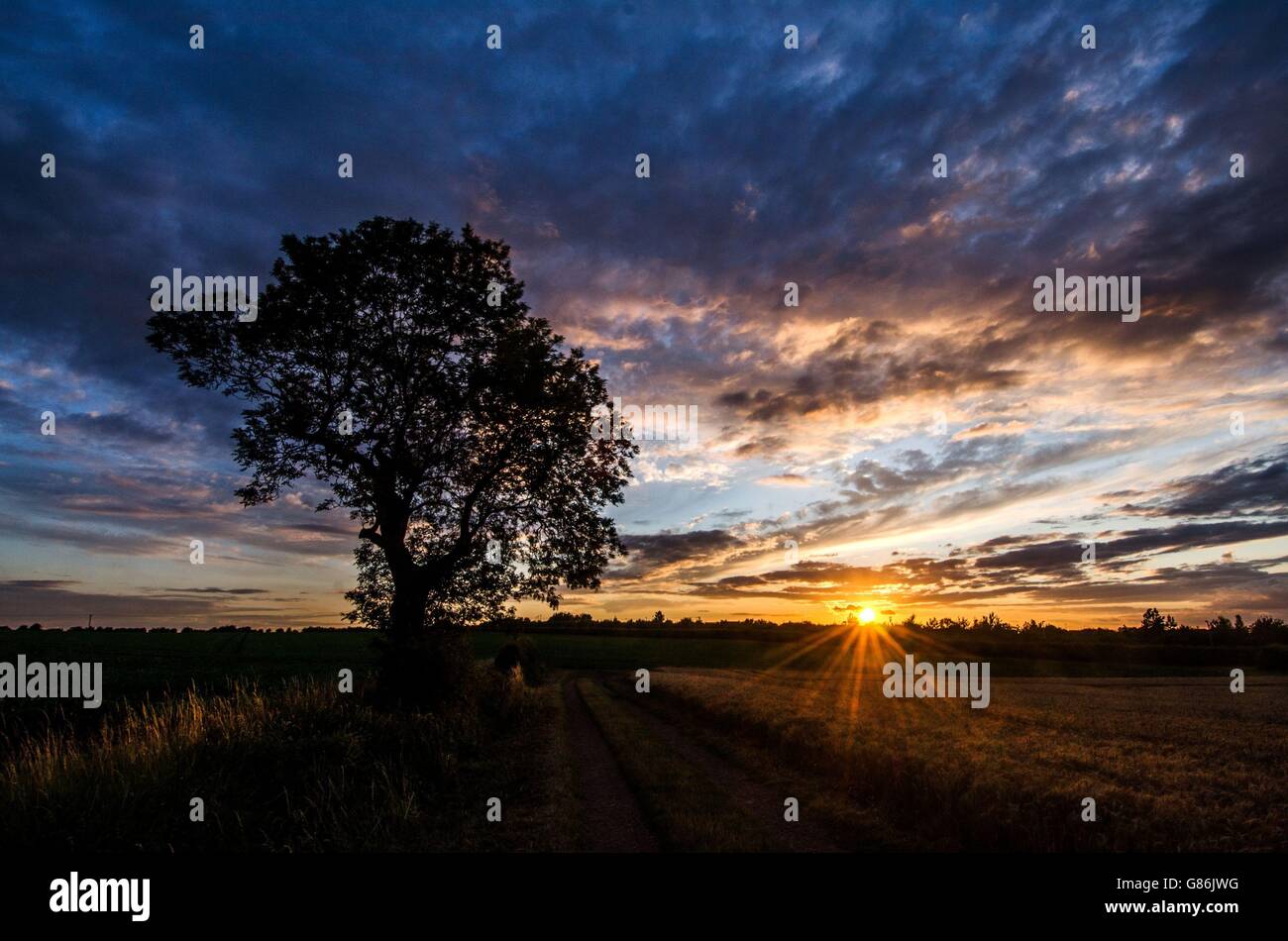 Summer weather July 29th 2015 Stock Photo Alamy
