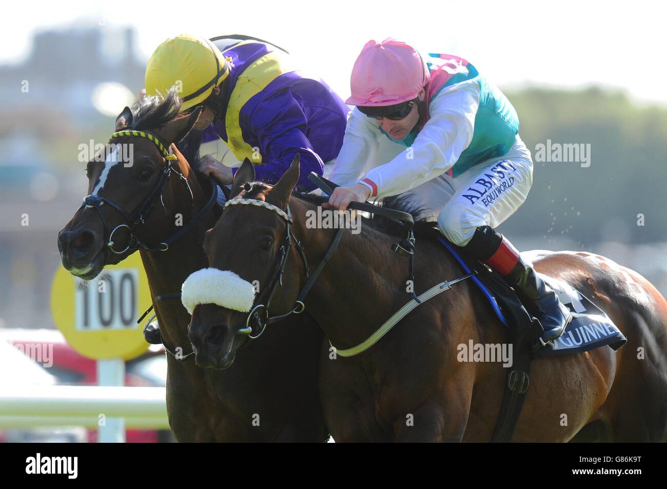 Whiskey sour horse hires stock photography and images Alamy