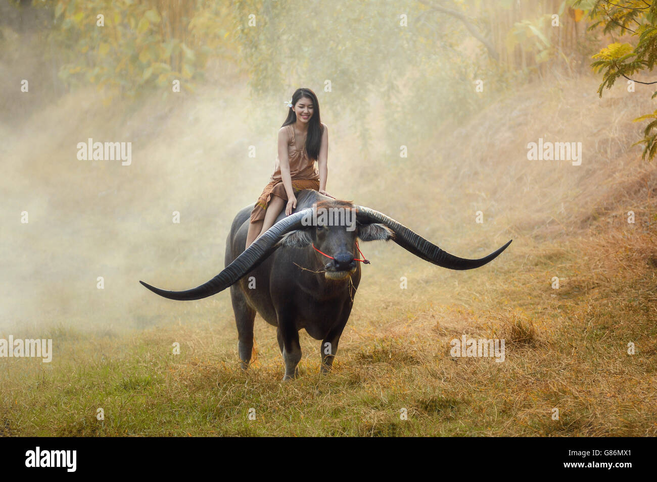 Woman riding longhorn buffalo, thailand Stock Photo