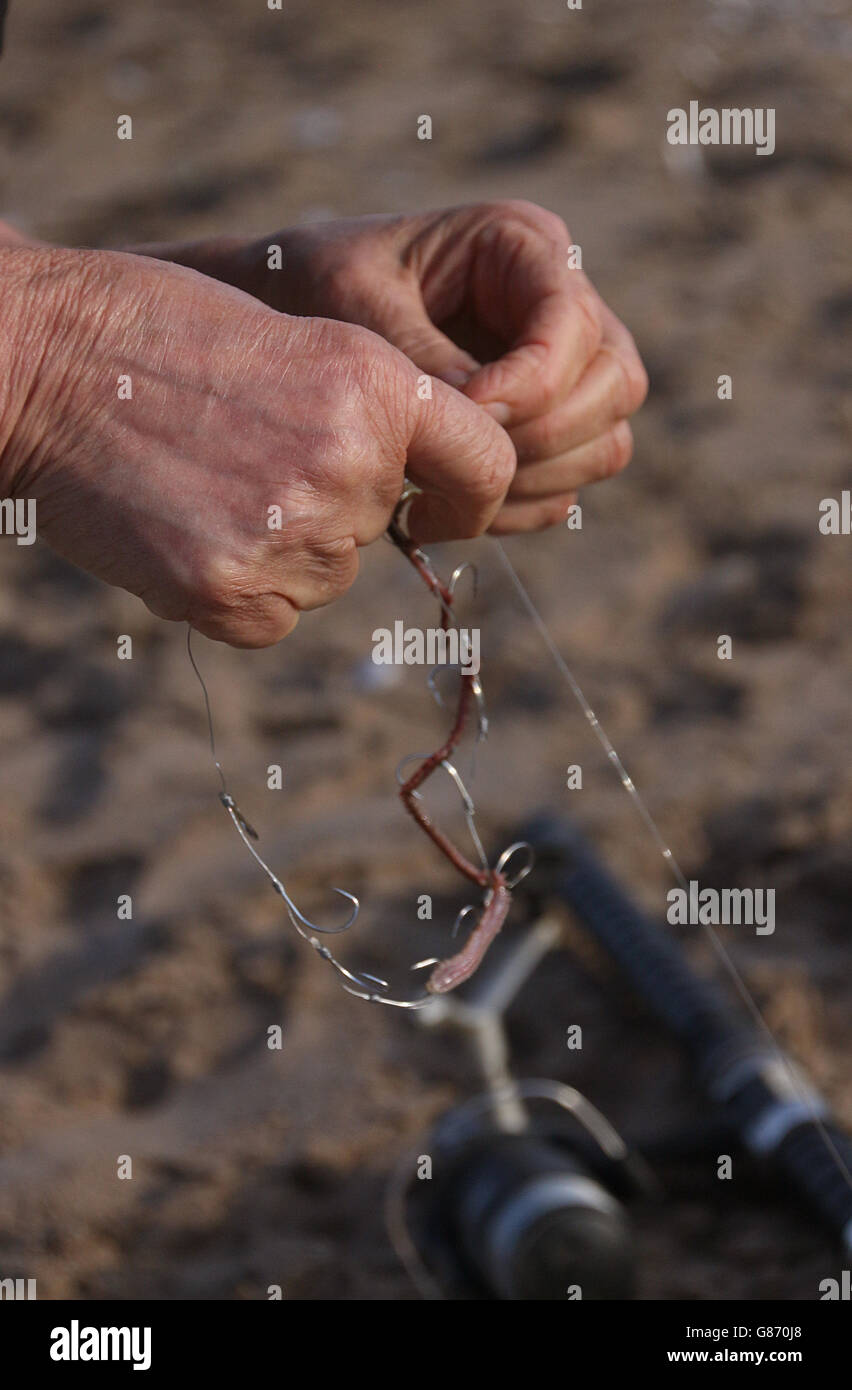 Woman Putting bait on fishing hook Stock Photo - Alamy