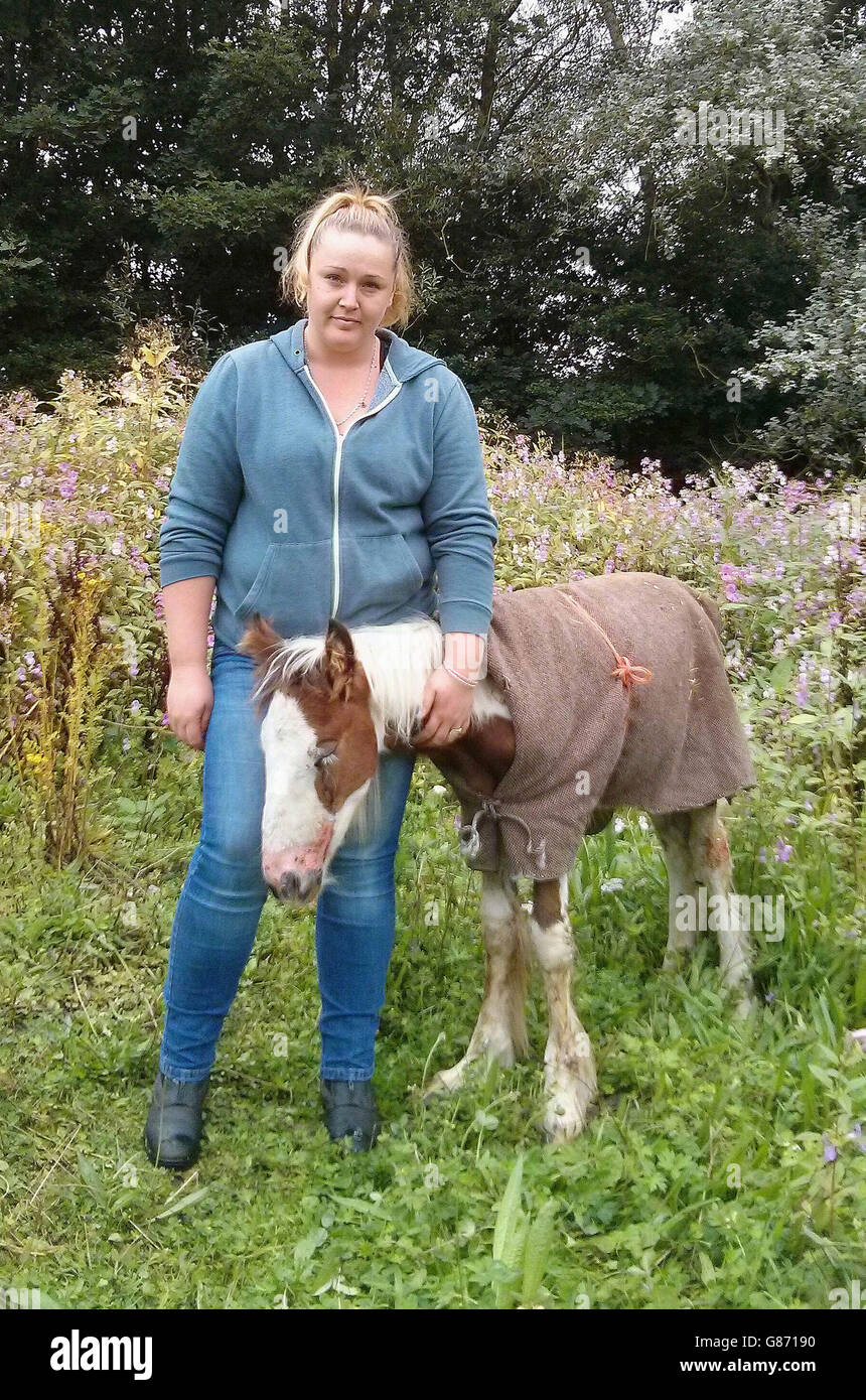 Owner Kayleigh Appleby with foal Angus who is fighting for his life a week after being doused in inflammable liquid and set alight in Pinxton, Derbyshire. Stock Photo