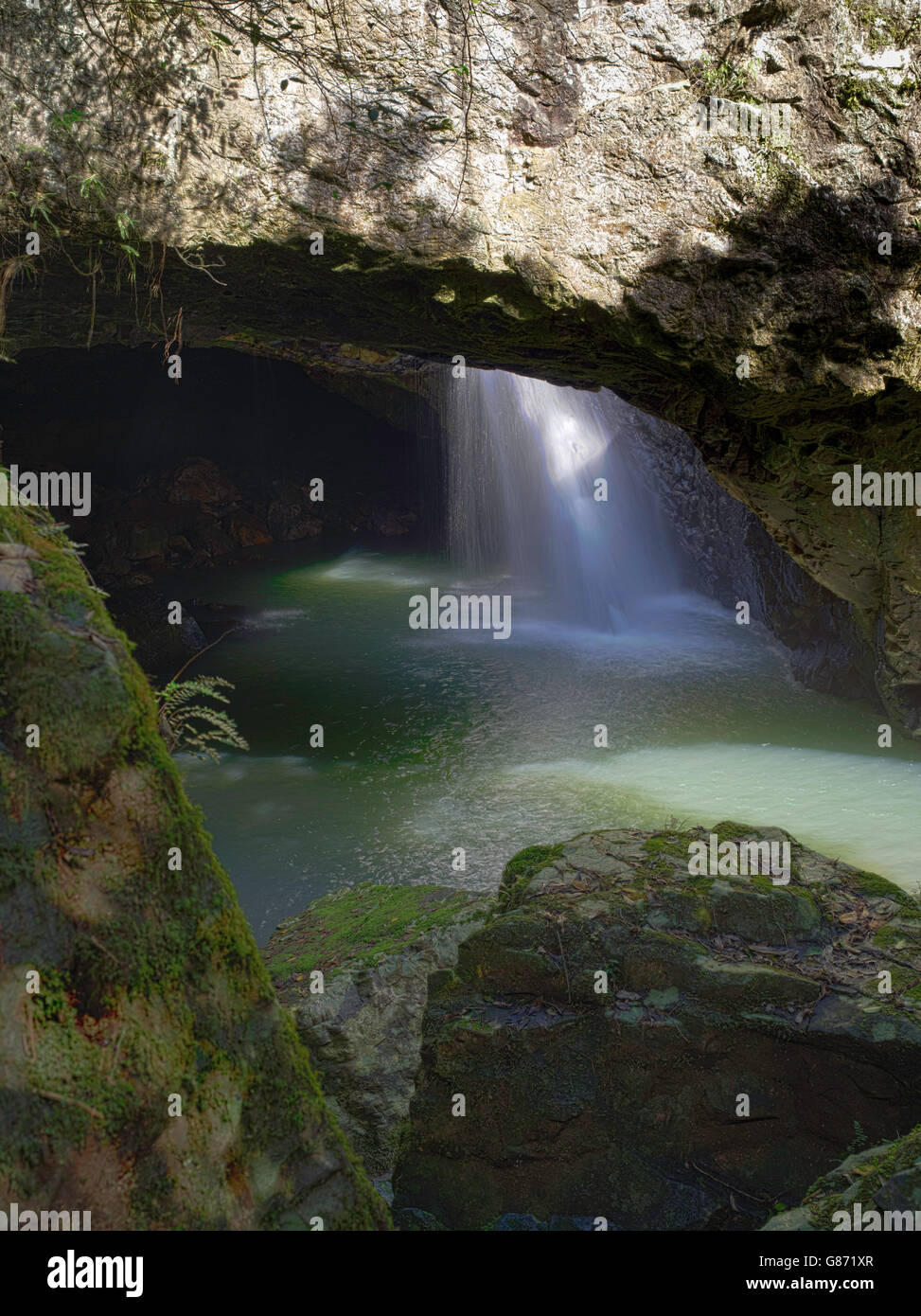Natural Bridge waterfall on Cave Creek, Springbrook National Park
