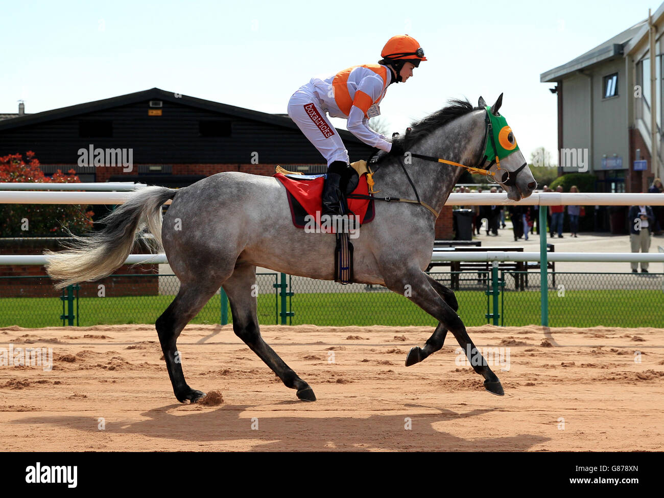 Horse Racing - Southwell Racecourse. Tight Lipped ridden by Shelley Birkett goes to post Stock Photo