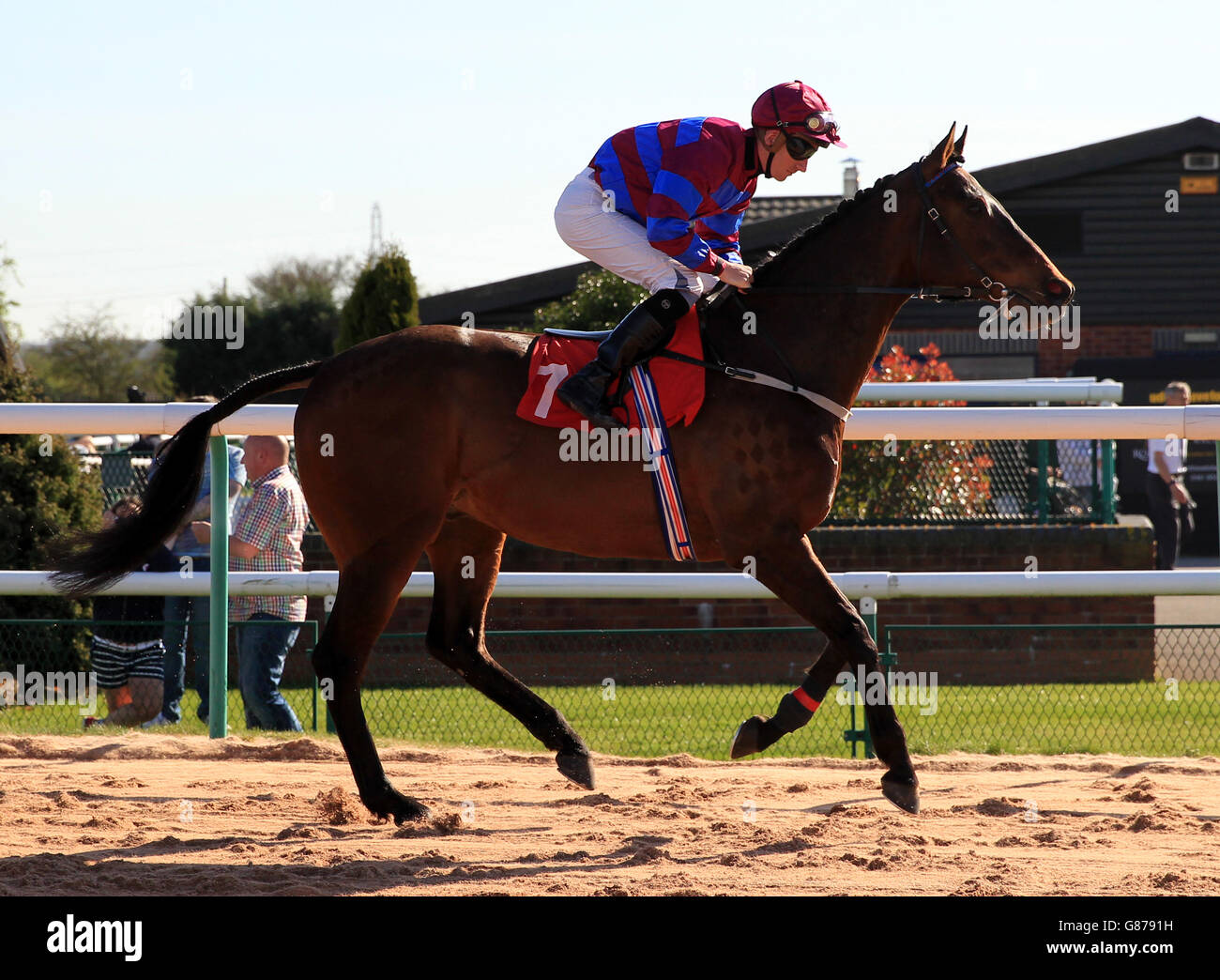Horse Racing - Southwell Racecourse. Alpha Tauri ridden by Martin Lane goes to post Stock Photo