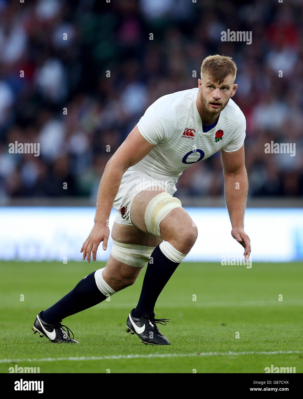George Ross Rugby George kruis france rugby hi-res stock photography and images - Alamy