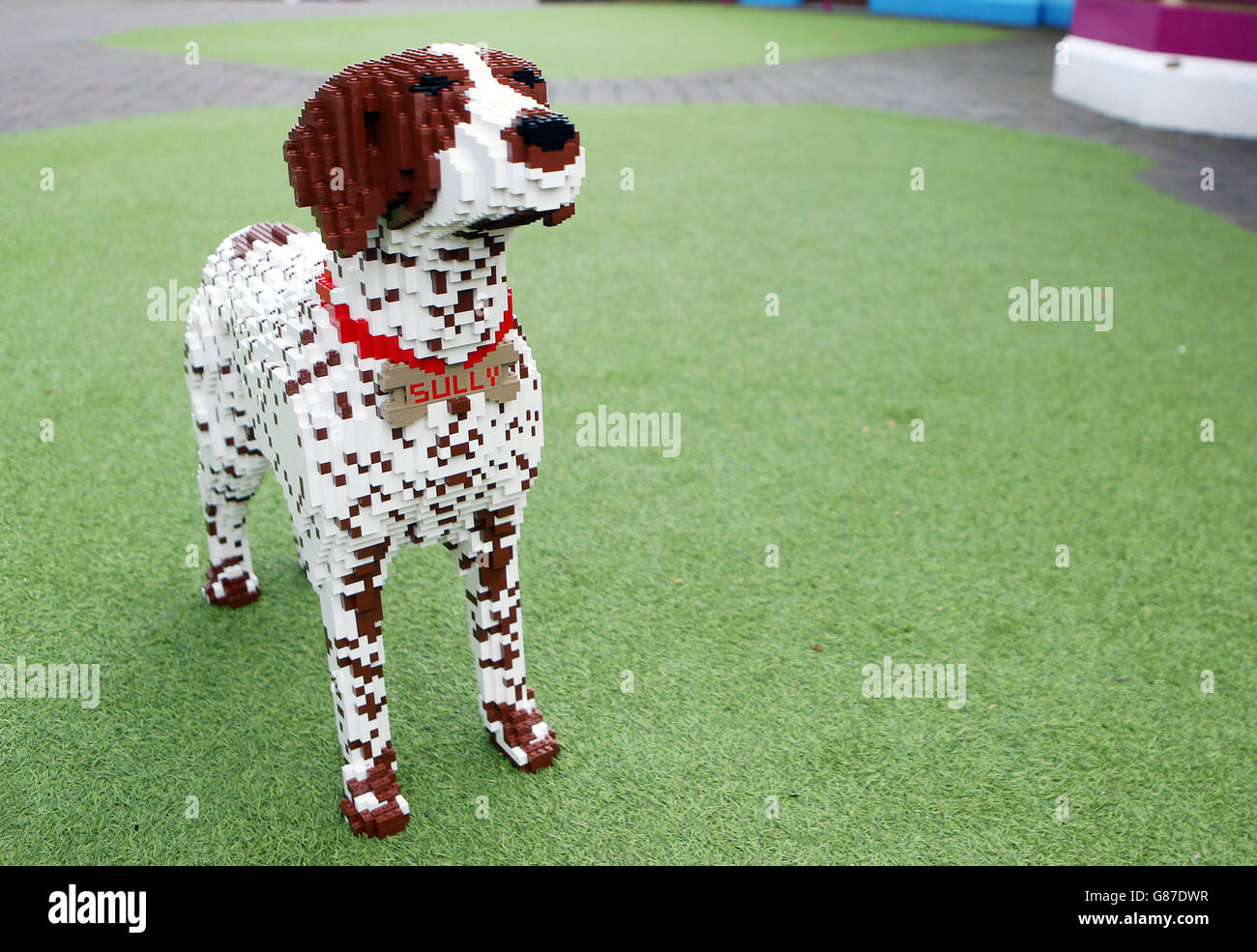 An exact LEGO double of Sully the Sprocker Spaniel after he was