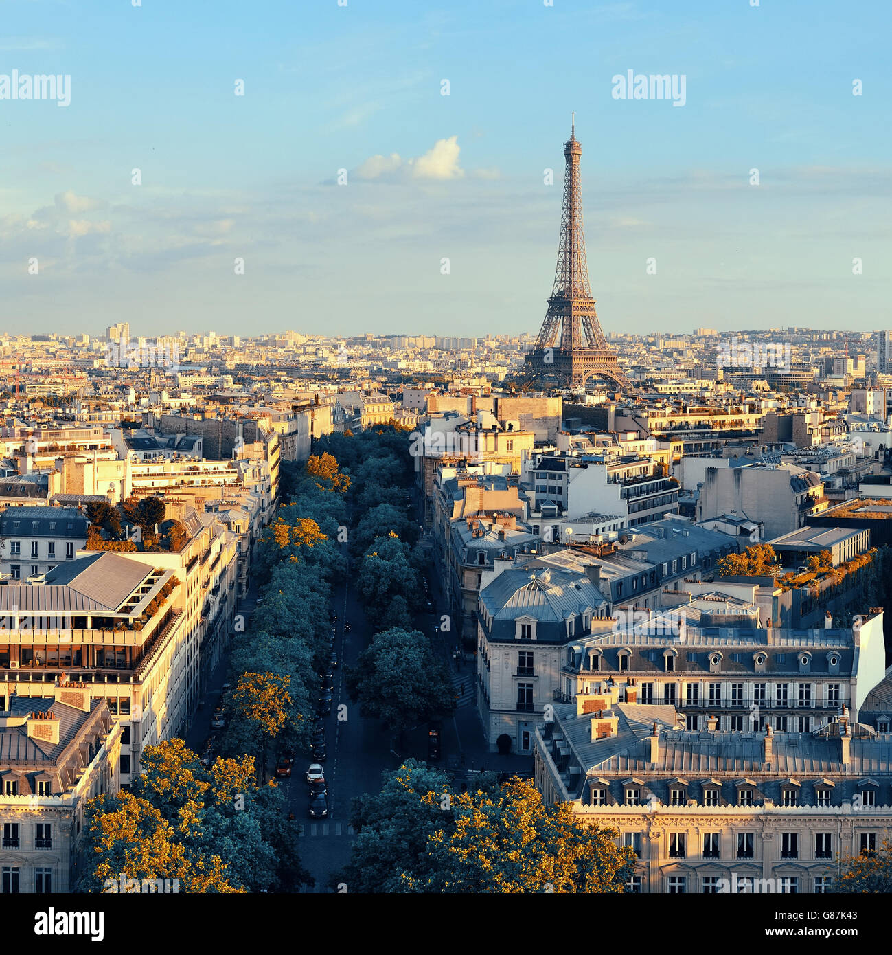 Paris rooftop view skyline and Eiffel Tower in France Stock Photo Alamy