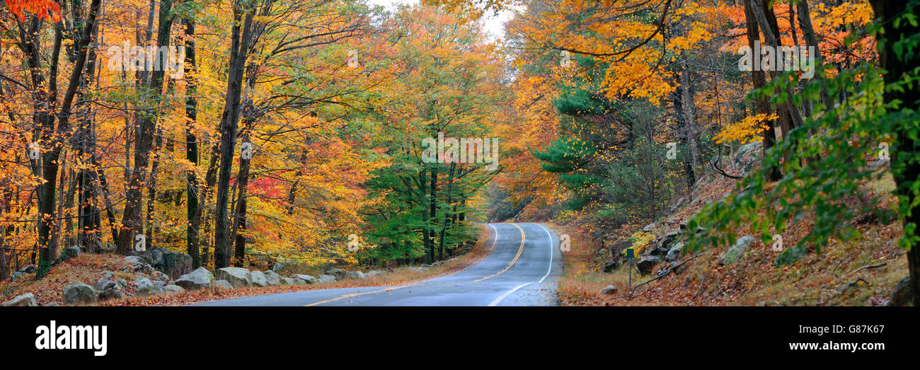 Autumn colorful foliage and natural landscape panorama Stock Photo - Alamy