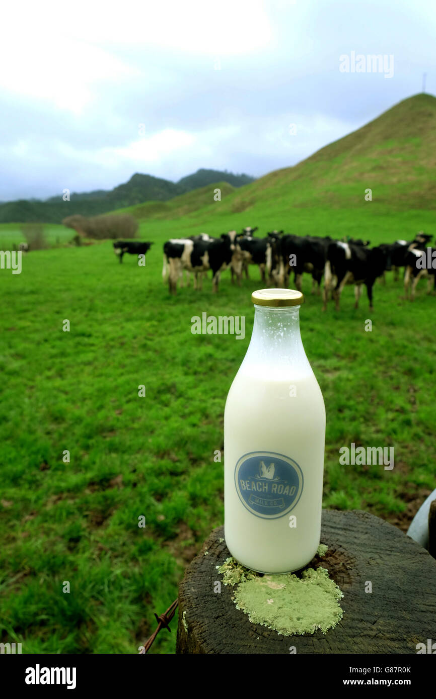 Fresh unpasteurised milk on a farm in Taranaki New Zealand Stock Photo
