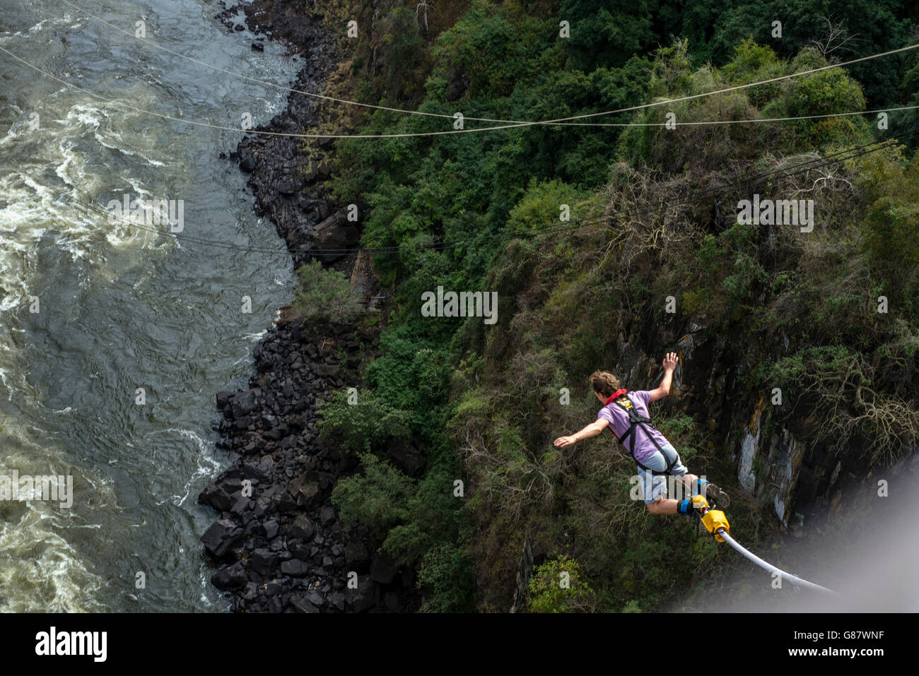 Bungee jumping near Victoria falls, Livingstone, Zambia Stock Photo Alamy