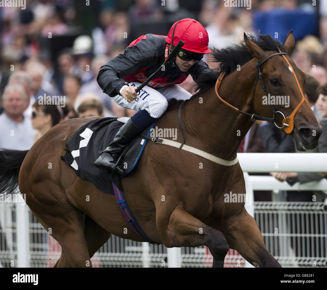 Royal Toast ridden by Cam Hardie leads the field home to win the Harwoods Group Stakes Race run during day two of the Bank Holiday Weekend at Goodwood Racecourse. PRESS ASSOCIATION Photo. Picture date: Sunday August 30, 2015. See PA story RACING Goodwood. Photo credit should read: Julian Herbert/PA Wire Stock Photo