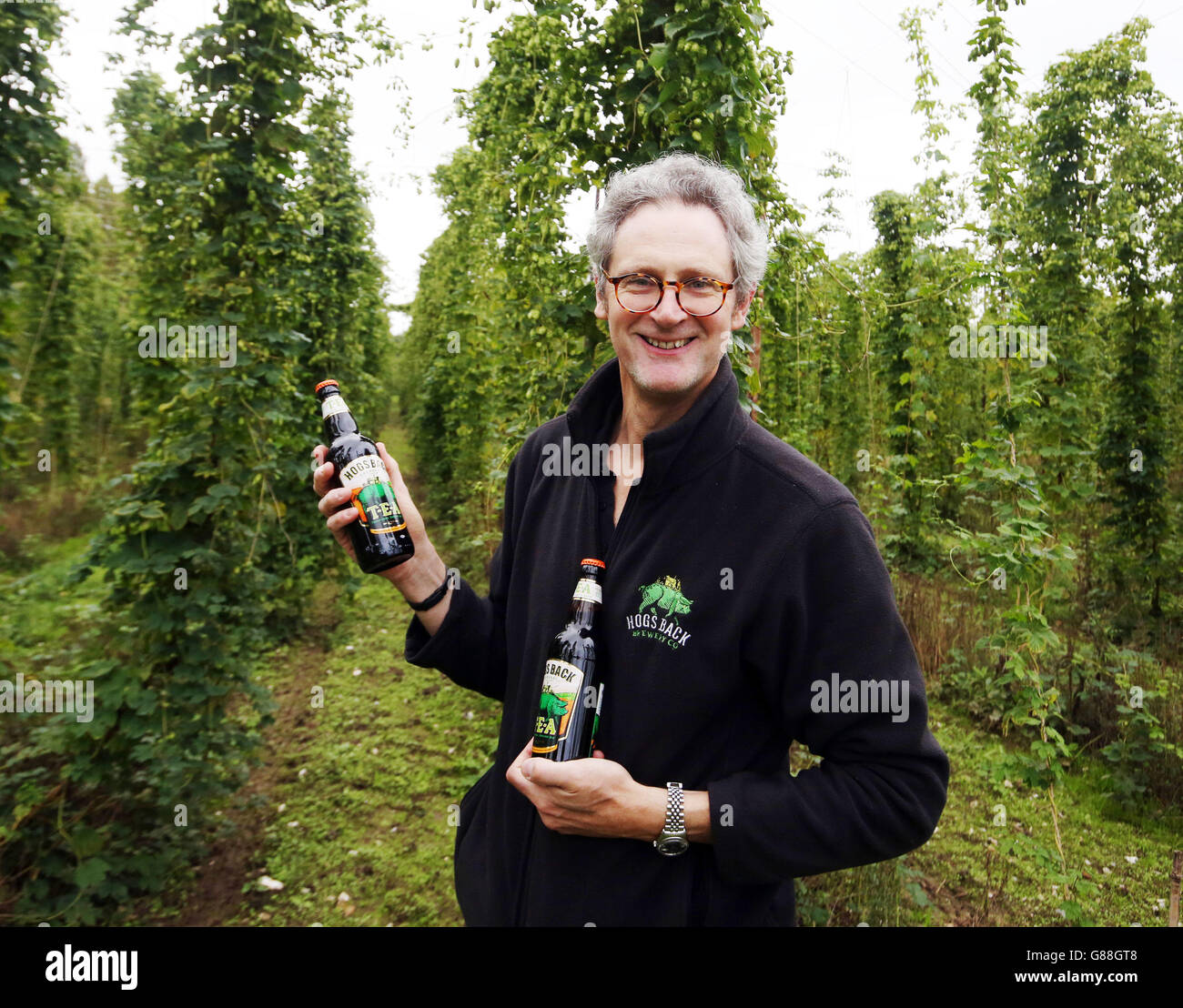 Hogs Back Brewery owner Rupert Thompson with bottles of his Traditional English Ale Tea as the first harvest from the hops garden in Tongham, near Farnham, Surrey will be used in the brewery's beer. Stock Photo