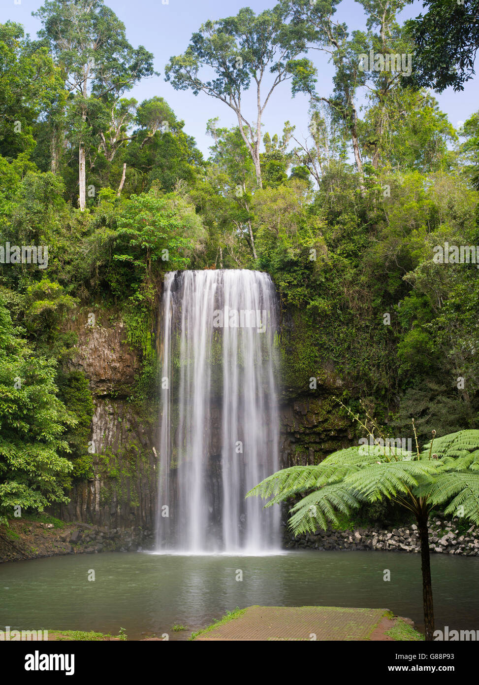 The famous Millaa Millaa waterfall, near Millaa Millaa, QLD, Australia