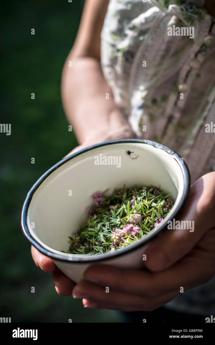 Woman holding bowl of fresh thyme Stock Photo
