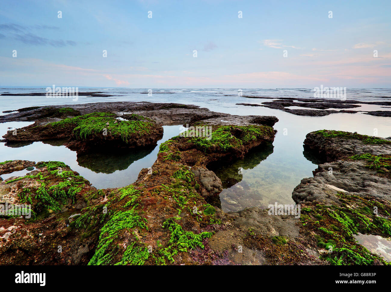 Moss covered rocks at sunset Mengening beach Bali Moss covered rocks at sunset Mengening beach Bali