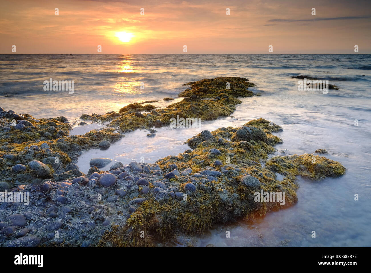 seaweed covered rocks at sunset, Kuala Penyu beach, Sabah, Borneo Stock Photo